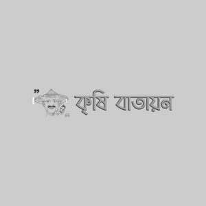 রসুনের পার্পল ব্লচ রোগ